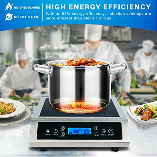 Best Pirce ✔️ Duxtop Professional Portable Induction Cooktop, Commercial Range Countertop Burner, 1800 Watts Induction Burner With Sensor Touch And LCD Screen, P961LS/BT-C35-D 👏 - Image 2